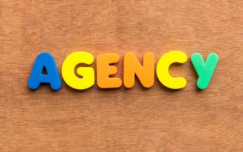 chức năng của công ty agency
