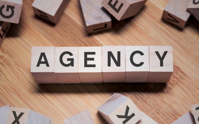 vai trò của công ty agency